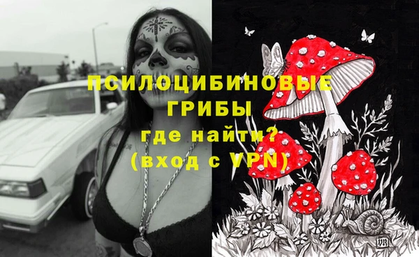 тгк Зеленокумск