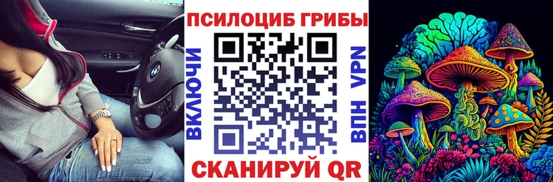 Купить закладки  Янаул  Псилоцибиновые грибы Magic Shrooms 